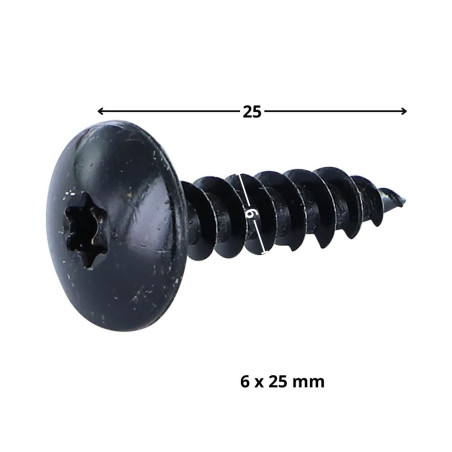 1 x Vis bois TEKOR Vis Penture 6X25 Filetée sur 25 TORX T30 Acier zingué noir Pointe antifendage type 17