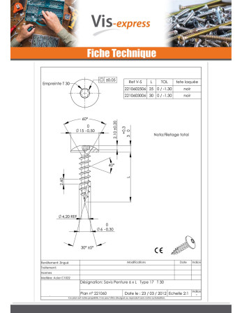 Vis bois TEKOR Vis Penture 6X25 Filetée sur 25 TORX T30 Acier zingué noir Pointe antifendage type 17