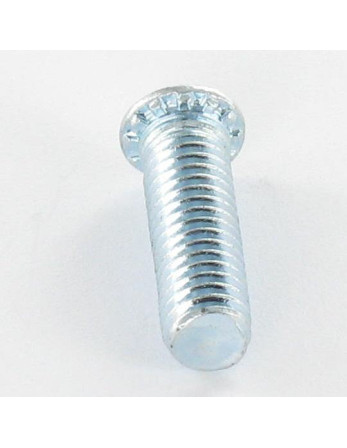 Vis à sertir M4X15 Acier zingué
