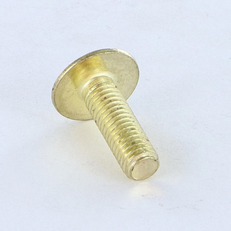 1 x Vis Poelier Fendue En Croix M8X16 Laiton