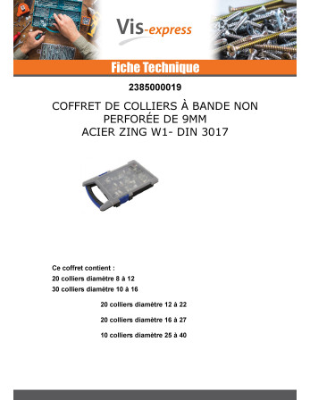 Assortiment de 100 Colliers de serrage BANDE 9