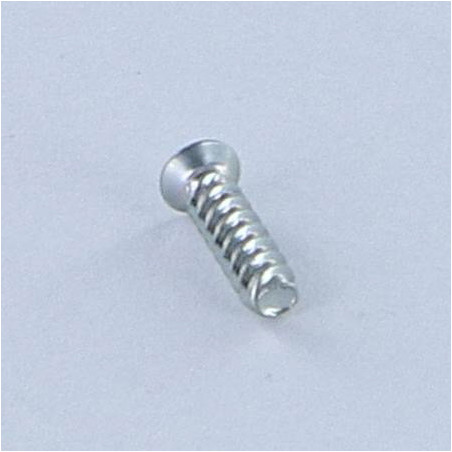 1 x Vis autotaraudeuse Pour Plastique Tête fraisée Phillips n° 0 2X8 Acier zingué microvis