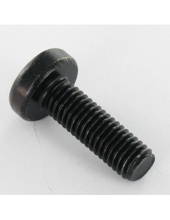Vis métaux tête cylindrique bombée large TORX T30 M6X10 Acier zingué noir
