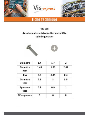 Vis autotaraudeuse Filet Métaux Tête cylindrique TC Phillips M2X5 Acier zingué microvis