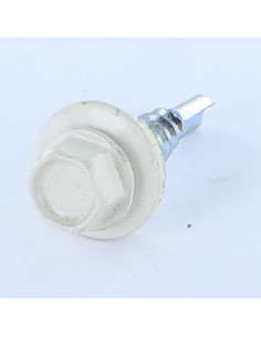 Vis autoperceuse Tête hexagonale TH 5.5X25 Rondelle...