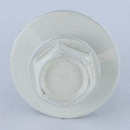 1 x Vis autoperceuse Tête hexagonale TH 5.5X25 Rondelle d'étanchéite EPDM Acier zingué RAL9010 blanc pur
