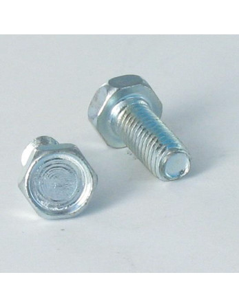 Vis autotaraudeuse Tête hexagonale TH M5X8 Acier zingué