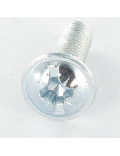 Vis Poelier POZI et fendu M6X20 Acier zingué 2