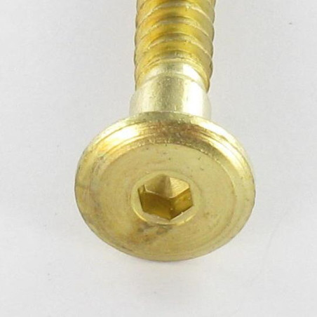 1 x Vis d'assemblage confirmat Tête ronde large Hexagonal creux 7X70 Acier laitonne