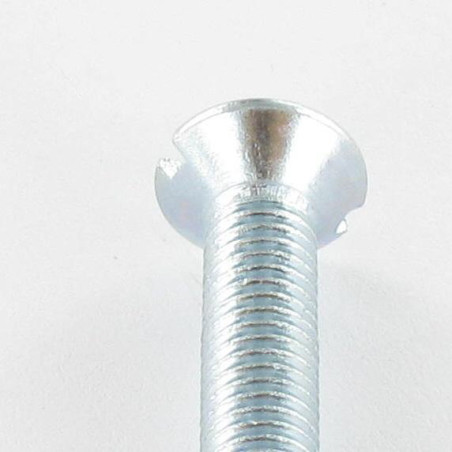 1 x Vis métaux Tête fraisée Fendue M6X10 Acier zingué