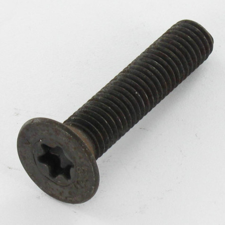 1 x Vis métaux Tête fraisée TORX T30 M6X35 Classe 10.9 Acier brut