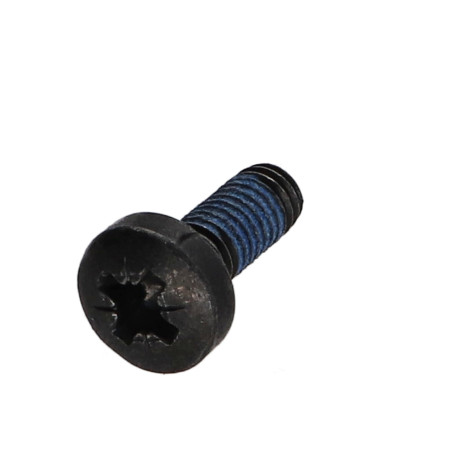 1 x Vis métaux tête cylindrique bombée large Pozi N°3 M6X12 Acier zingué noir Frein filet