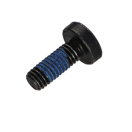 1 x Vis métaux tête cylindrique bombée large Pozi N°3 M6X12 Acier zingué noir Frein filet