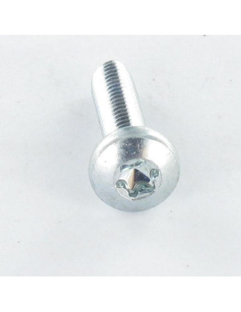 Vis autotaraudeuse tête cylindrique bombée large M6X60 TORX T30 Acier zingué
