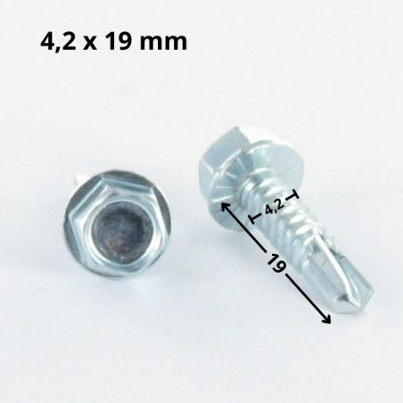 1 x Vis autoperceuse Tête hexagonale TH 4.2X19 Filet tôle Acier zingué