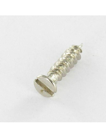 VBA Vis bois agglo Tête fraisée Fendue 3X14 Diamètre de tête: 5 Acier nickelé microvis