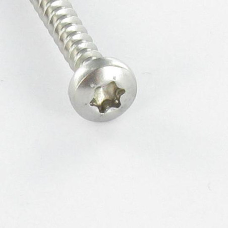 1 x VBA Vis bois agglo Tête ronde TR 5X60 TORX T25 Acier zingué
