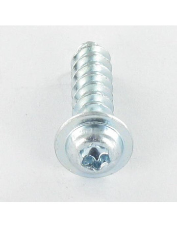 Vis pvc Tête cylindrique TC TORX T20 4X16 HAUT.T3 Acier zingué
