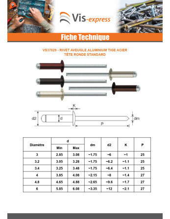 Rivet aveugle Aluminium Tige acier 4X10 Epaisseur de serrage 4 à 6 Tête Ronde Standard RAL8017 brun chocolat