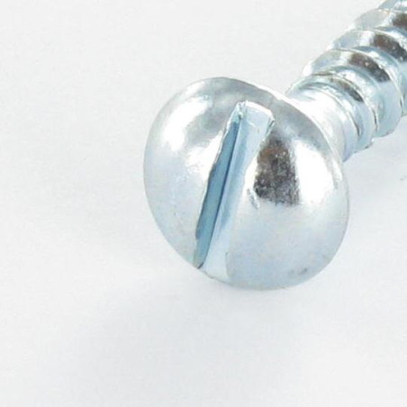 1 x Vis bois Tête ronde TR Fendue 8X40 Acier zingué