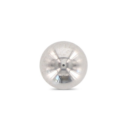 1 x BILLE ANTIVOL Pour Empreinte SW6 Inox A2