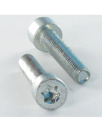 Vis autotaraudeuse Tête cylindrique TC M5X10 TORX T25 Acier zingué