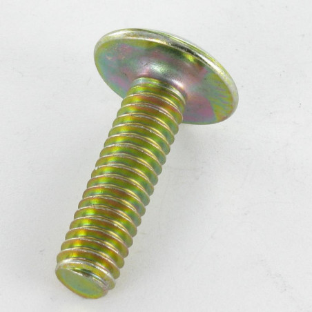 1 x Vis Poelier Fendue En Croix M6X75 Bichromaté