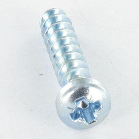 1 x Vis pvc Tête cylindrique bombée TCB Pozi N°2 4X12 Filet 30DEGRES Acier zingué