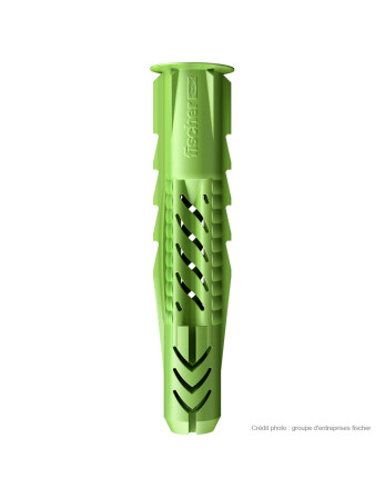 Cheville Fischer UX GREEN 10X60