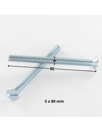 Vis métaux Tête fraisée Fendue M5X80 Acier zingué