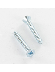 Vis tôle Tête fraisée Pozi 5.5X19 Acier zingué
