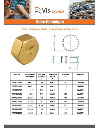 Bouchon femelle Figure 300 15x21 (1/2") avec trou de plombage Laiton