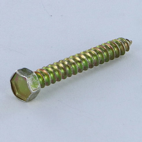 1 x Vis tôle Tête hexagonale TH 3.5X25 Bichromaté