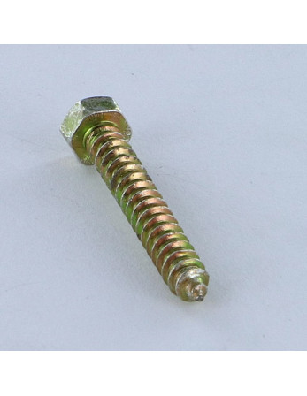 Vis tôle Tête hexagonale TH 3.5X25 Bichromaté