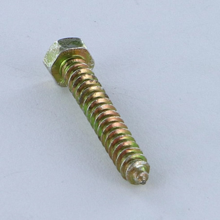 1 x Vis tôle Tête hexagonale TH 3.5X25 Bichromaté
