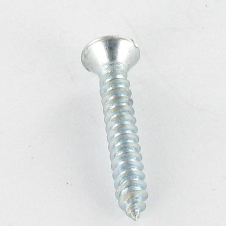 1 x Vis tôle Tête fraisée bombée TFB Fendue 4.2X50 Acier zingué