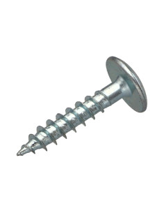 Vis Penture 6X40 Filetage partiel TORX T30 Acier zingué 2