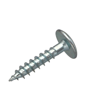 Vis Penture 6X40 Filetage partiel TORX T30 Acier zingué