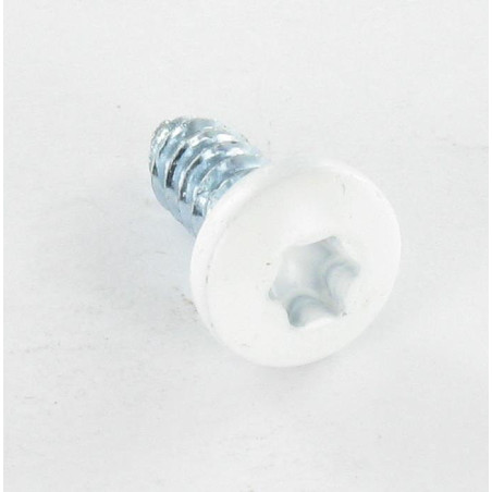 1 x Vis tôle Tête cylindrique TC Cranté 6.3X16 TORX T30 Acier zingué RAL9016 blanc signalisation