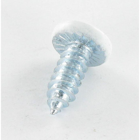 1 x Vis tôle Tête cylindrique TC Cranté 6.3X16 TORX T30 Acier zingué RAL9016 blanc signalisation