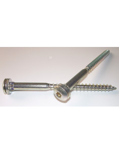 S.POEL 7X100 Filetée sur 60 TORX T30 Imperdable Pointe...