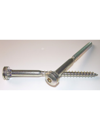 S.POEL 7X100 Filetée sur 60 TORX T30 Imperdable Pointe antifendage type 17 zingué cr3 96 hbs sans rouille rouge