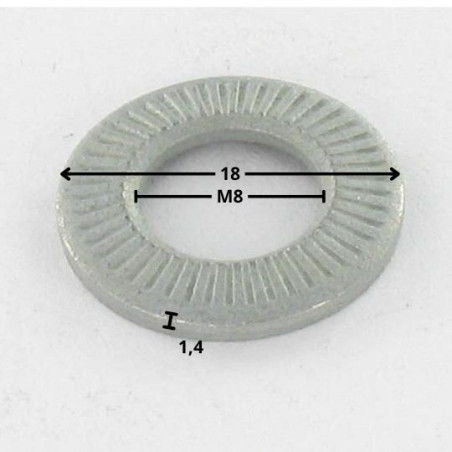 1 x Rondelles contact M8X18X1.4 Acier zingué Série M (Moyenne)