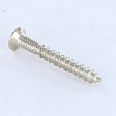 1 x Vis bois Tête fraisée bombée TFB Fendue 2.5X20 Acier nickelé microvis