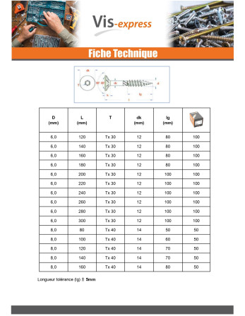 Vis charpente TEKOR Tête fraisée Cranté TORX T30 6X280 Filetée sur 100 Pointe antifendage type 17 Acier zingué