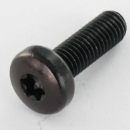 1 x Vis métaux tête cylindrique bombée large TORX T30 M6X12 Acier zingué noir