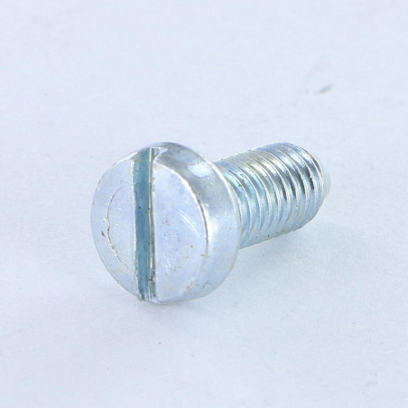 1 x Vis métaux Tête cylindrique large TCL Fendue M5X12 B.P. Acier zingué