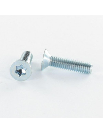 Vis métaux Tête fraisée TORX T30 M6X12 Classe 4.8 Acier zingué