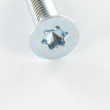 1 x Vis métaux Tête fraisée TORX T30 M6X40 Classe 10.9 Acier zingué