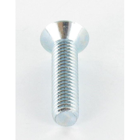 1 x Vis métaux Tête fraisée TORX T30 M6X40 Classe 10.9 Acier zingué